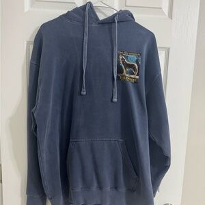 Men's Blue Hoodie